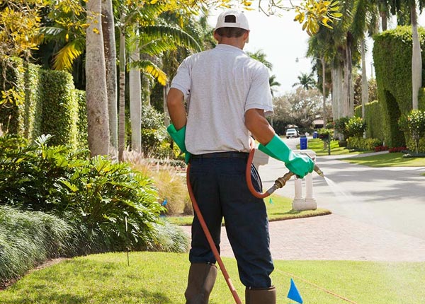About Ashland City TN Pest Control Pros